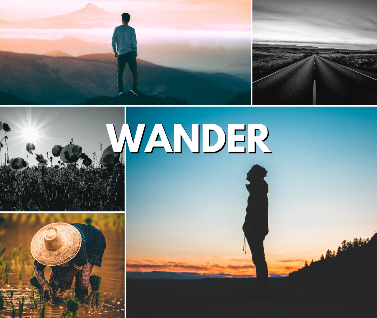 Wander